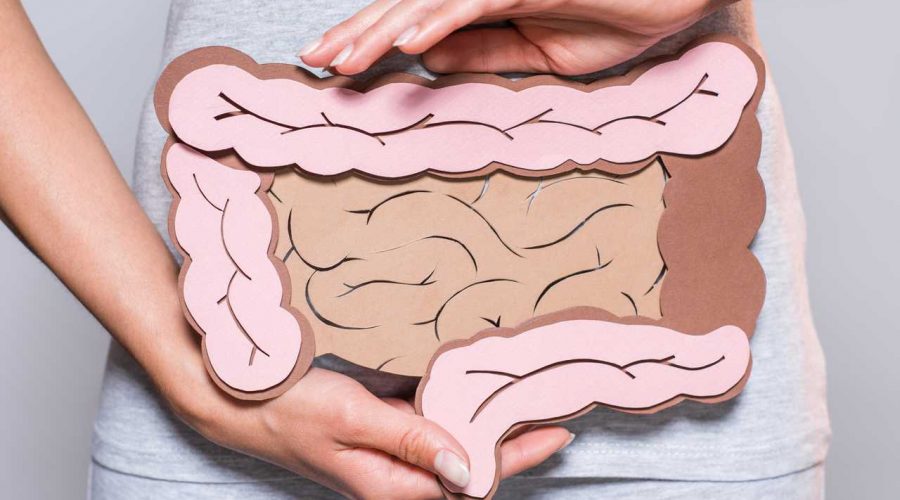 Bağırsak Kurdu İçin Hangi Doktora Gidilir?