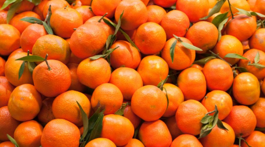 C Vitamini Nedir? Faydaları Nelerdir?